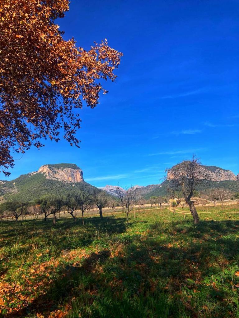 Вілла Son Ribes Аларо Екстер'єр фото